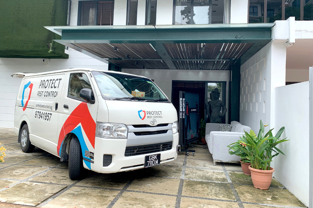 Pest Control Singapore Residential