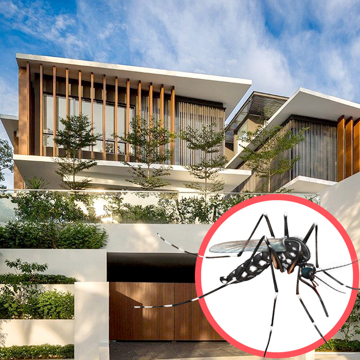 Mosquitoes Singapore Bungalow 3 Storeys