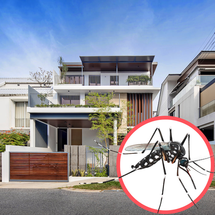 Mosquitoes Singapore Semi D 1 Storey