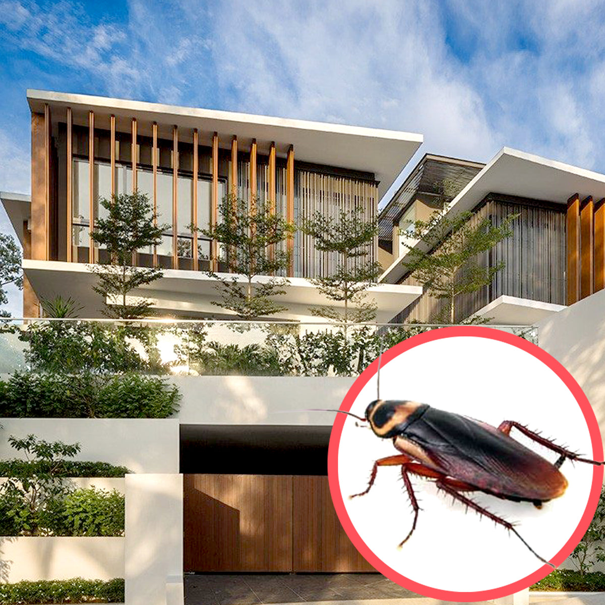 Cockroaches Bungalow (1 Storey) - Pest Control Service – Protect Pest ...