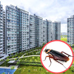 Cockroaches Singapore HDB