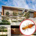 Termites Singapore Bungalow 1 Storey