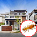 Termites Singapore Semi D 3 Storeys